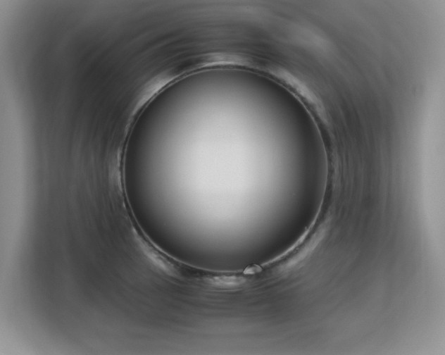 X0000113141137200909110929