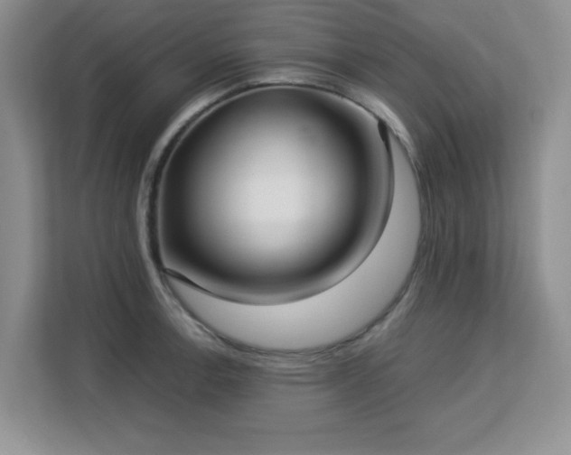 X0000113141138200909110929