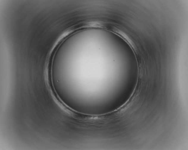 X0000113141139200909110929