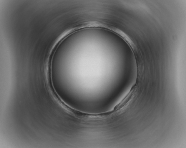 X0000113141142200909110929