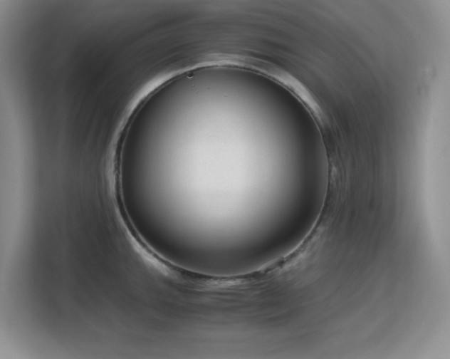 X0000113141143200909110929