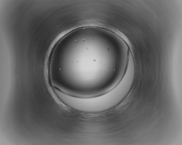 X0000113141144200909110929