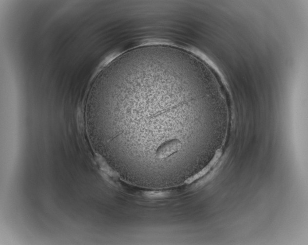 X0000113141145200909110929