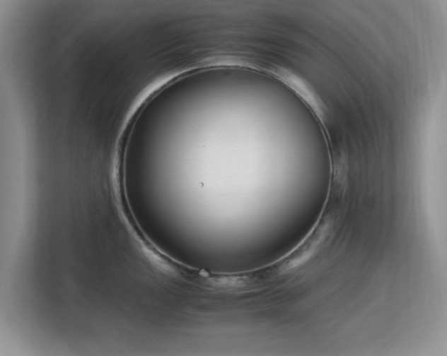 X0000113141149200909110929