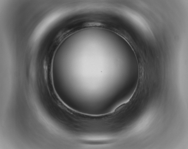 X0000113141151200909110929