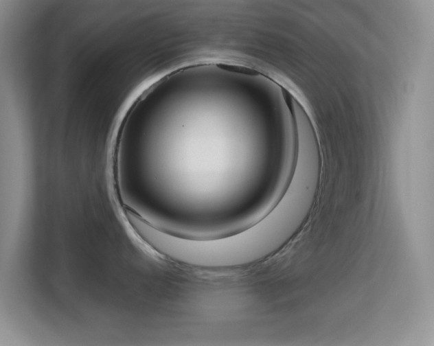 X0000113141152200909110929