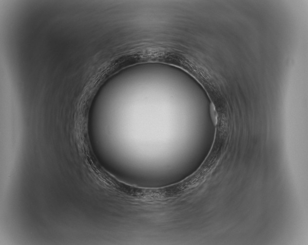 X0000113141153200909110928