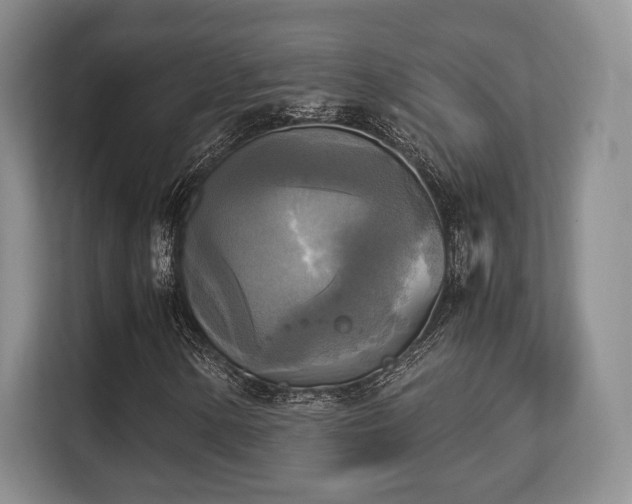 X0000113141154200909110928