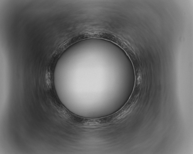 X0000113141156200909110928