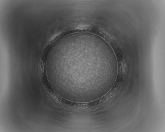 X0000113141158200909110928