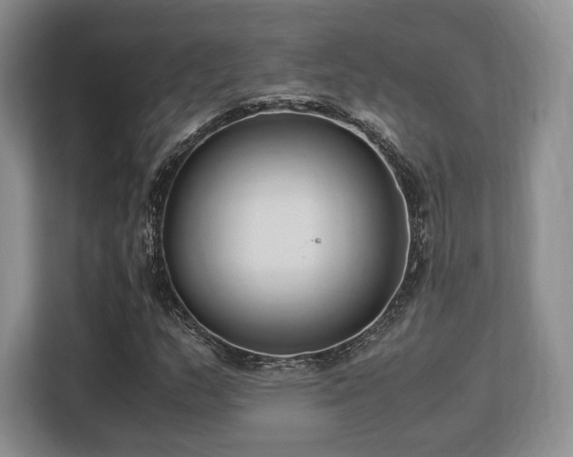 X0000113141159200909110928