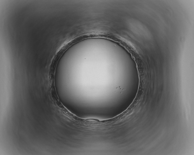 X0000113141160200909110928