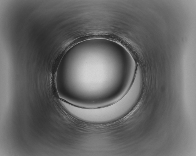 X0000113141161200909110928