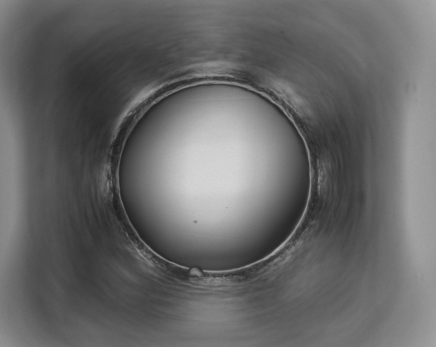 X0000113141164200909110928