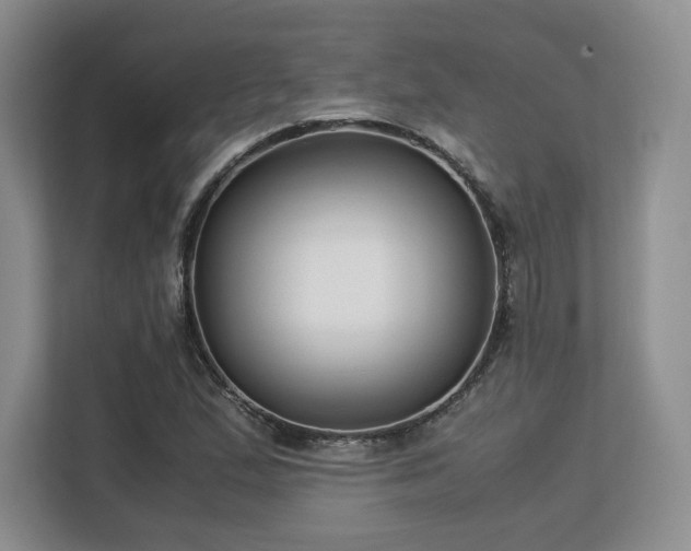 X0000113141167200909110928