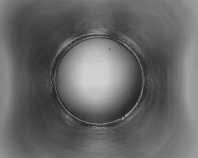 X0000113141168200909110928