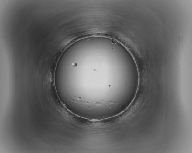 X0000113141169200909110928