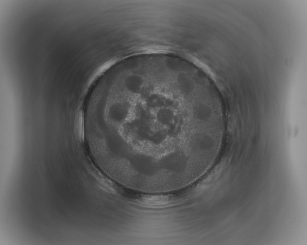 X0000113141171200909110928