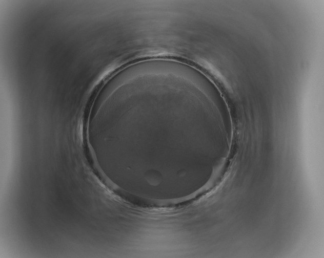 X0000113141173200909110928