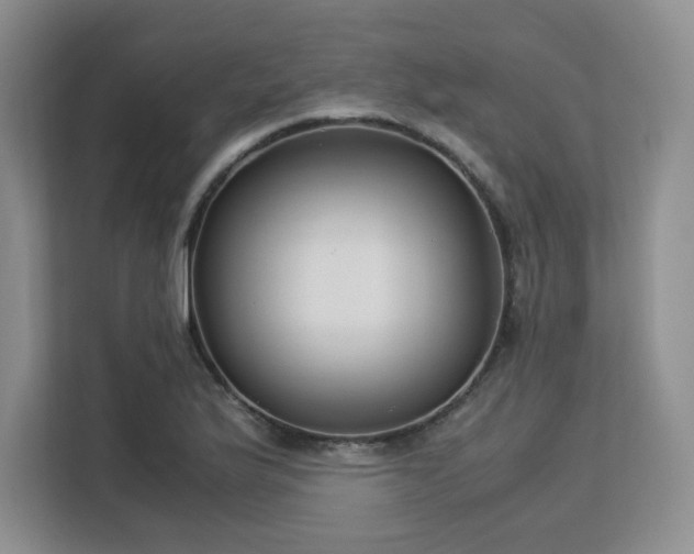 X0000113141175200909110928