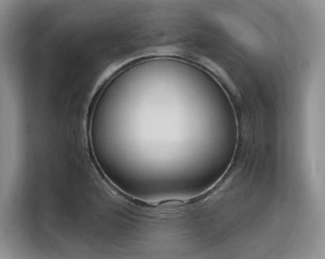 X0000113141176200909110928