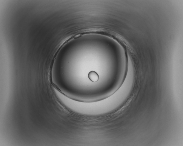 X0000113141177200909110928