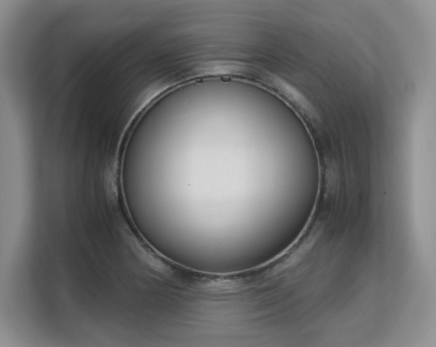 X0000113141178200909110928