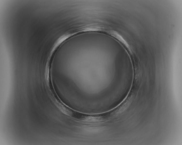 X0000113141179200909110928