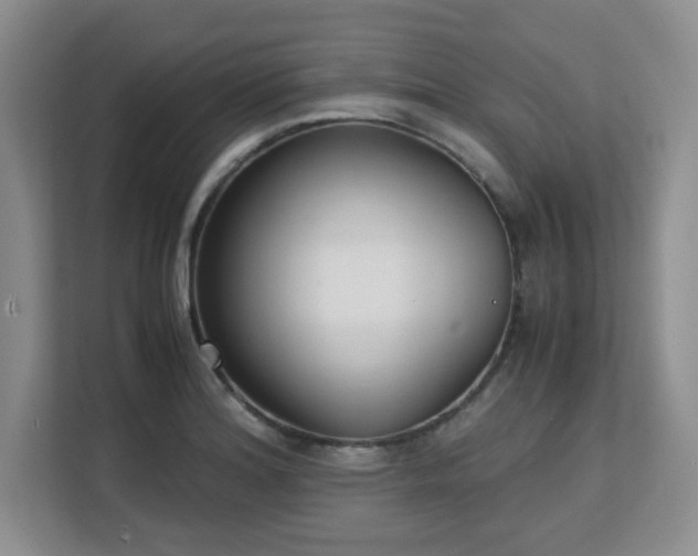 X0000113141180200909110928