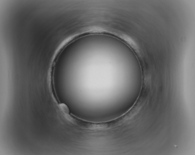 X0000113141183200909110928