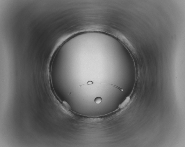 X0000113141184200909110928