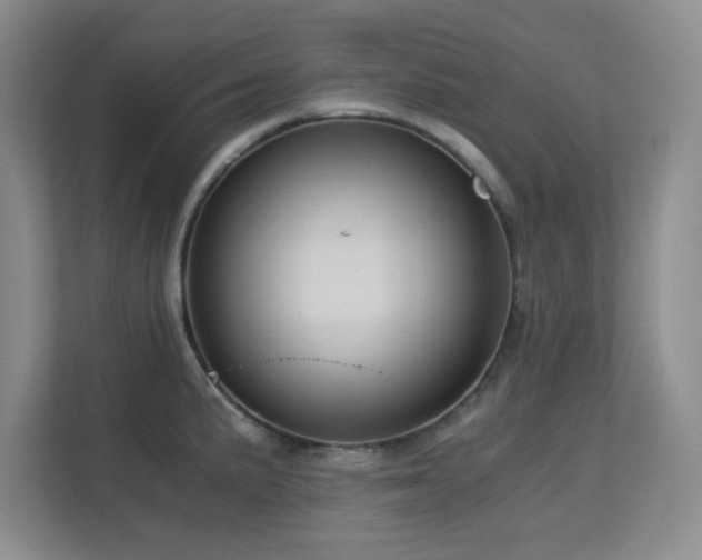 X0000113141191200909110928