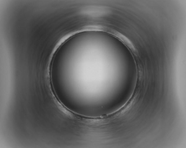 X0000113141192200909110928