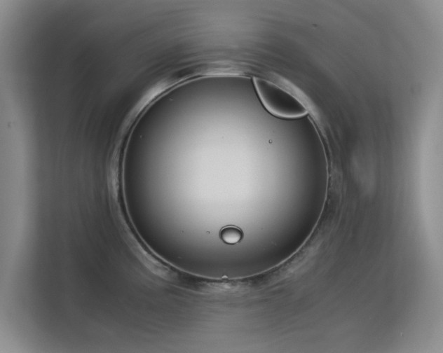 X0000113141195200909110928