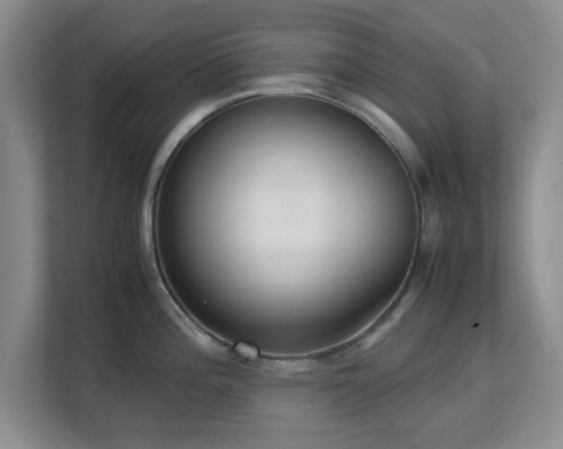 X0000113141196200909110928