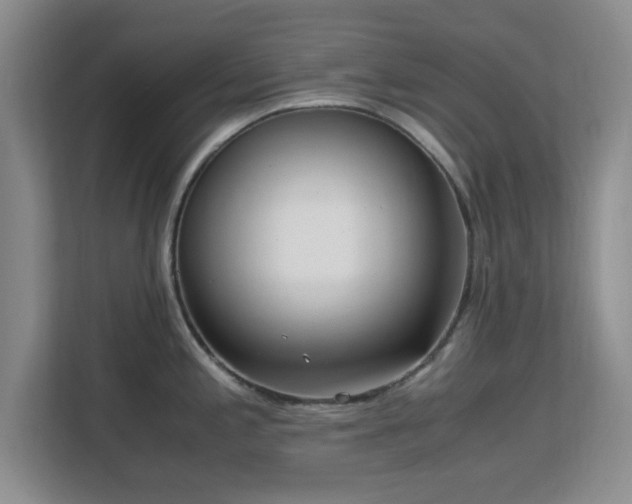 X0000113141197200909110928