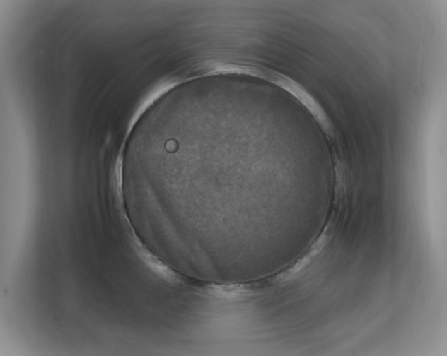 X0000113141198200909110928