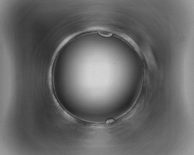 X0000113141199200909110928