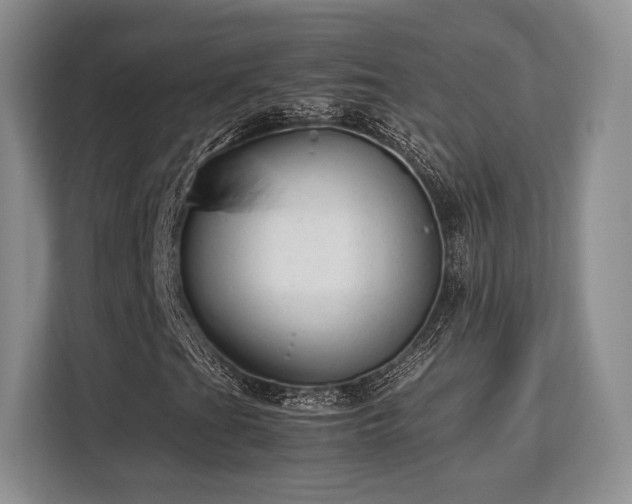 X0000113141201200909110927