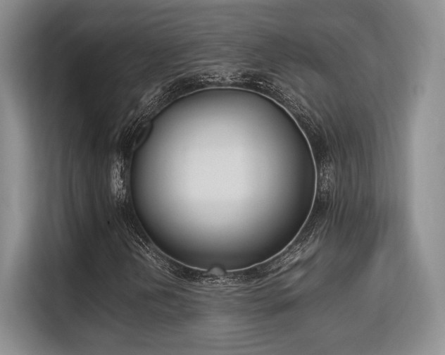 X0000113141202200909110927