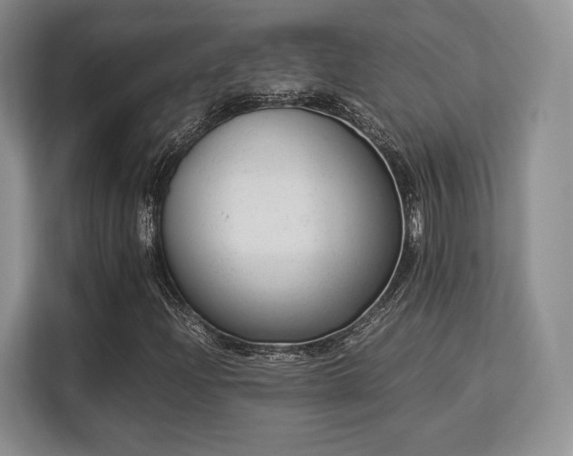 X0000113141204200909110927