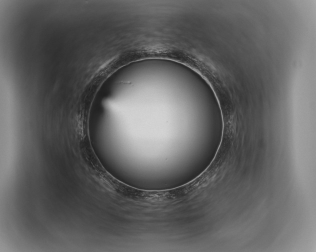 X0000113141205200909110927