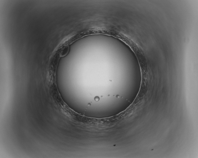 X0000113141207200909110927