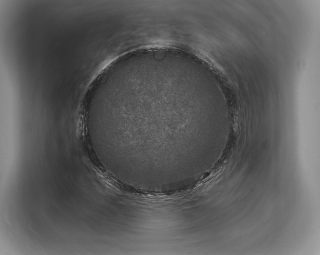 X0000113141208200909110927