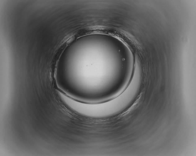 X0000113141209200909110927