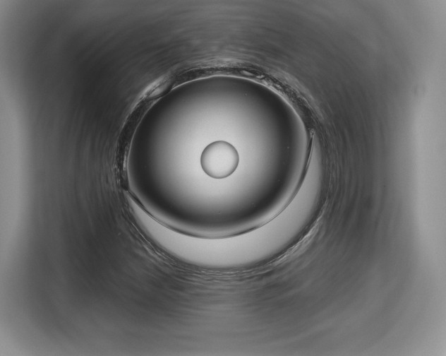 X0000113141210200909110927