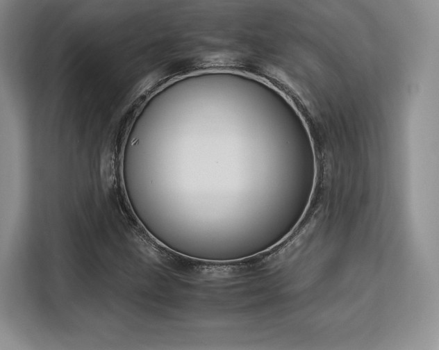 X0000113141211200909110927