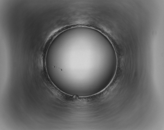 X0000113141214200909110927