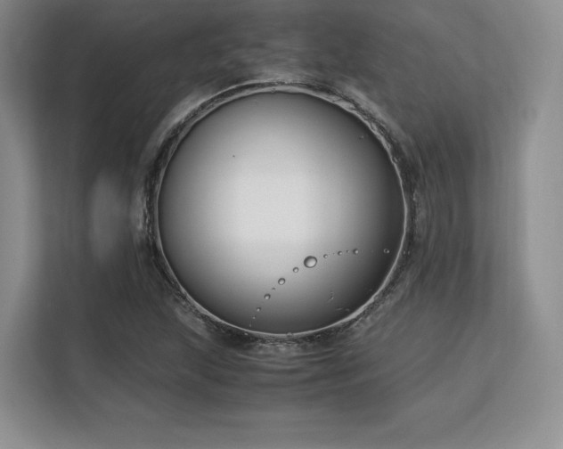 X0000113141215200909110927