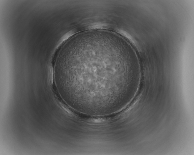 X0000113141219200909110927